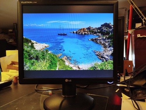 Monitor flatron l1743s - 17",