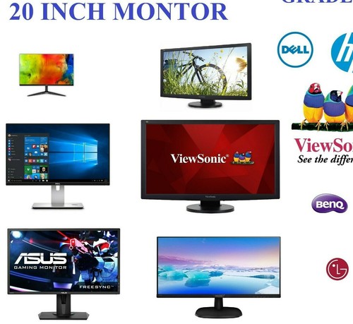 Monitor economico dell - monitor, 20"
